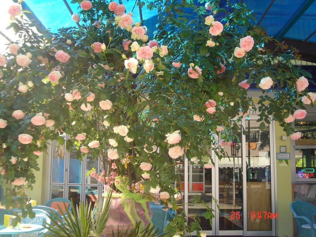 Hotel Da Giovanna Lignano Sabbiadoro Exteriér fotografie